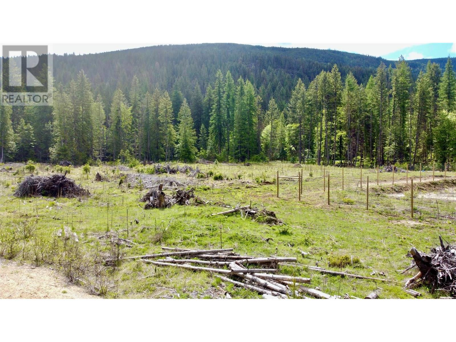 2707 Pass Creek Road, Krestova, British Columbia  V0G 1H2 - Photo 4 - 10350656