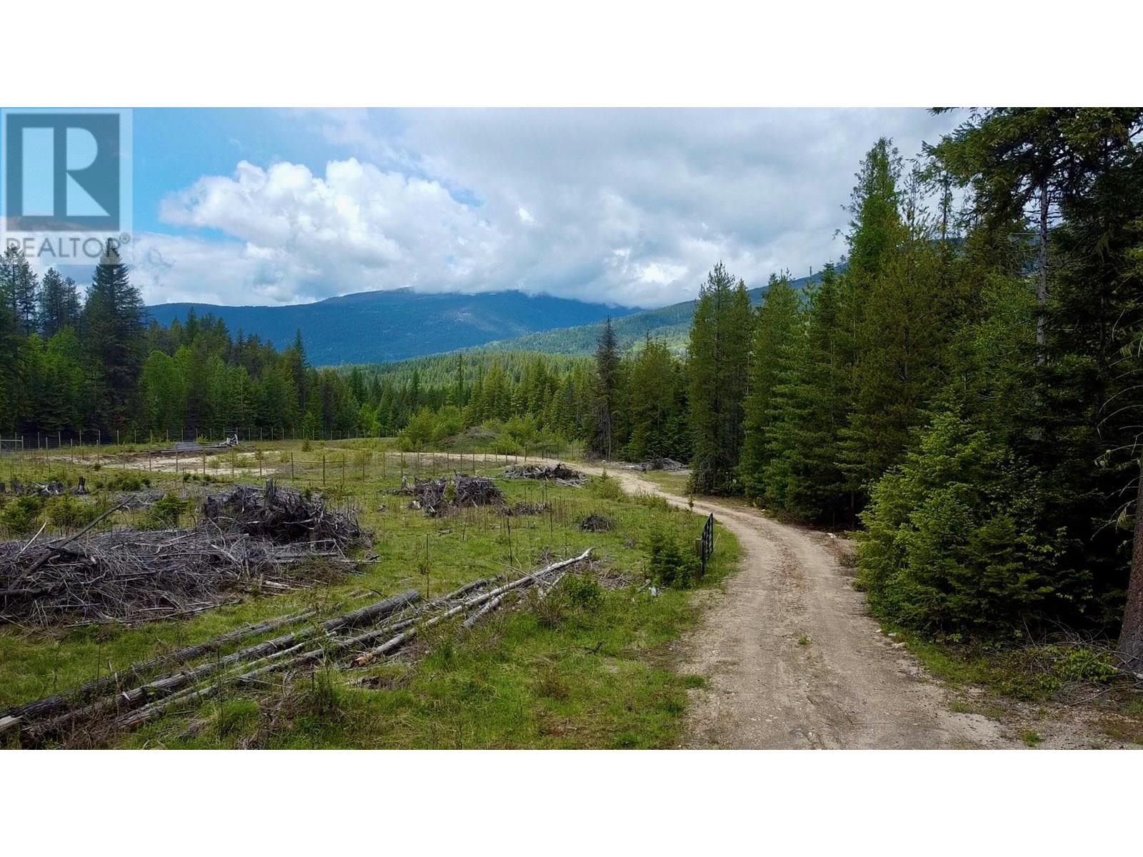 2707 Pass Creek Road, Krestova, British Columbia  V0G 1H2 - Photo 5 - 10350656