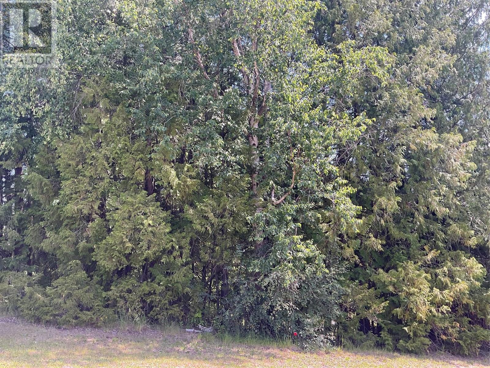 1380 Highway 3b, Montrose, British Columbia  V0G 1P0 - Photo 2 - 10351932