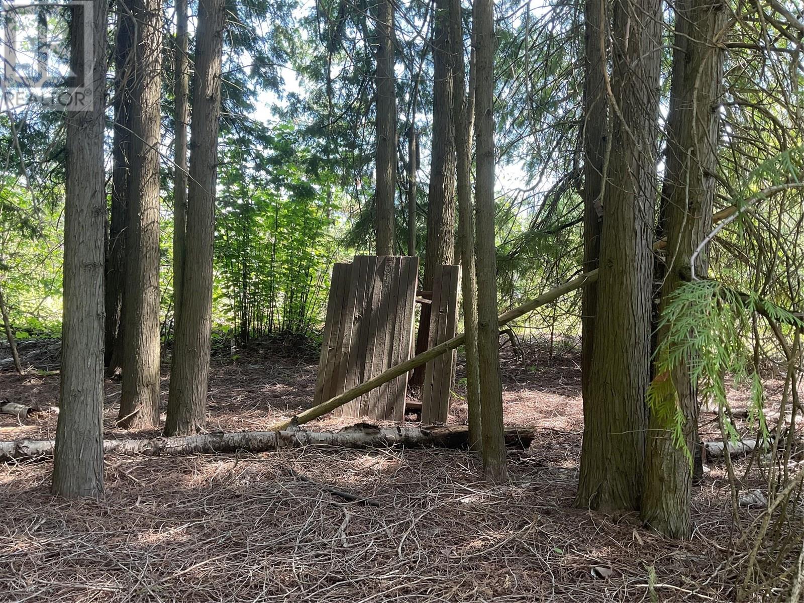 1380 Highway 3b, Montrose, British Columbia  V0G 1P0 - Photo 4 - 10351932