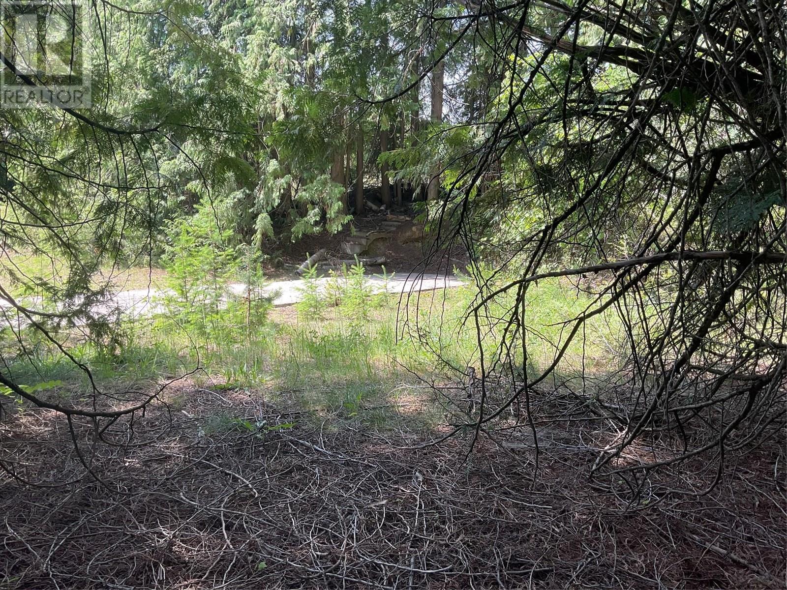 1380 Highway 3b, Montrose, British Columbia  V0G 1P0 - Photo 5 - 10351932
