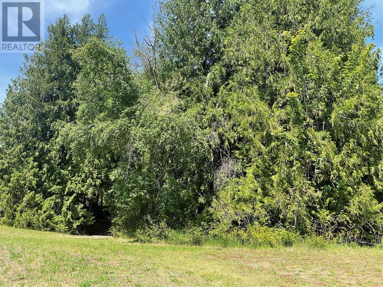 1380 Highway 3b, Montrose, British Columbia  V0G 1P0 - Photo 6 - 10351932