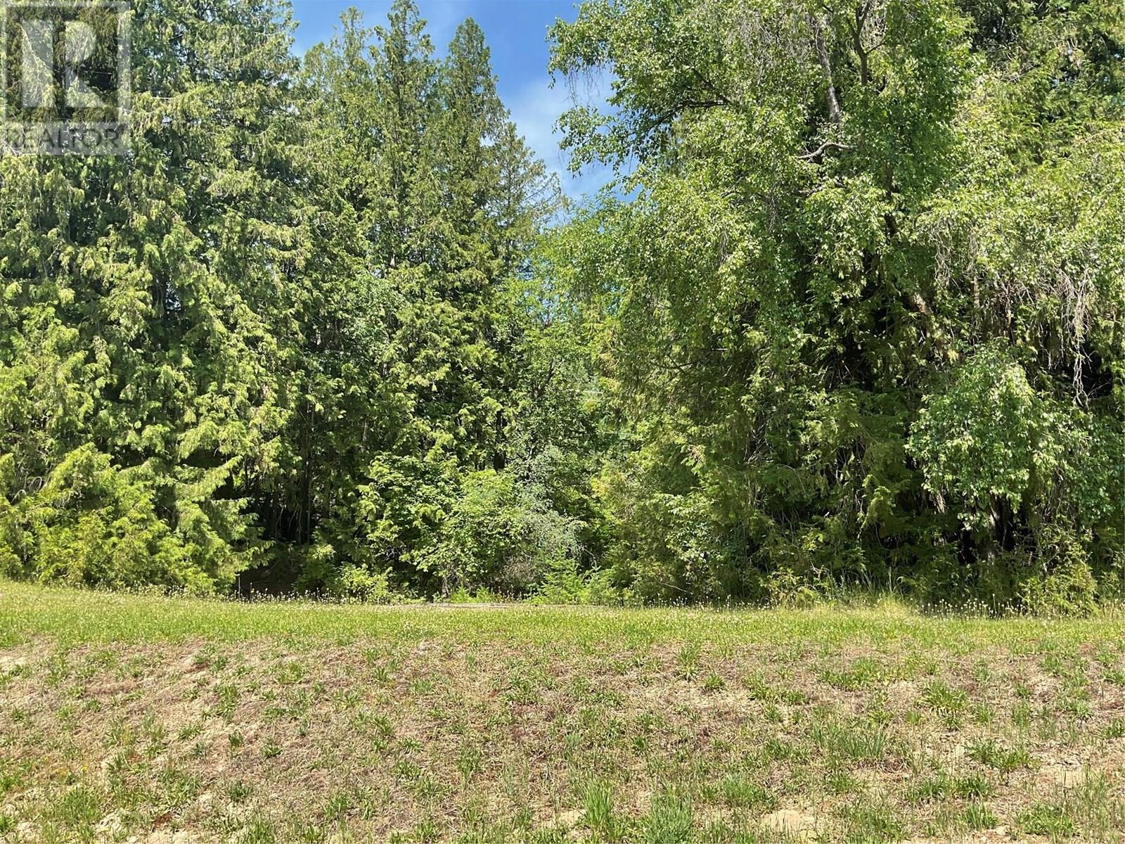 1380 Highway 3b, Montrose, British Columbia  V0G 1P0 - Photo 7 - 10351932