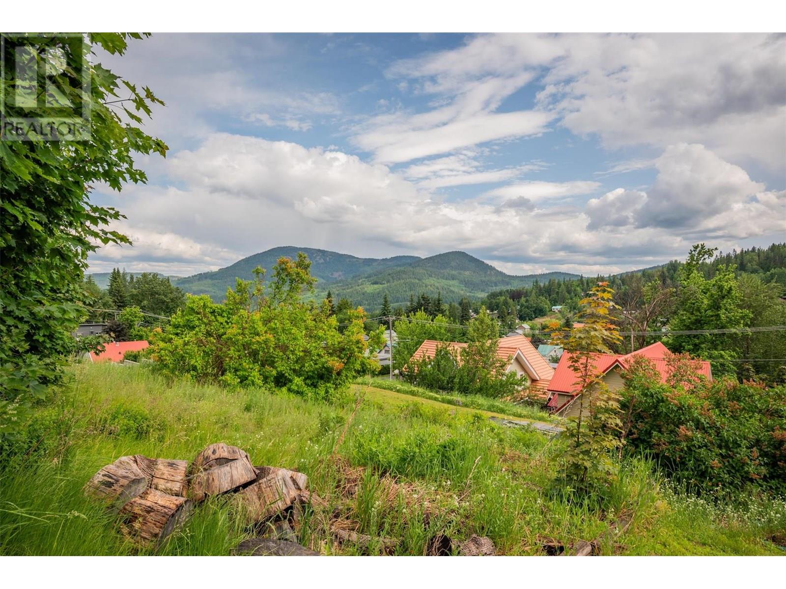 1585 Dunn Crescent, Rossland, British Columbia  V0G 1Y0 - Photo 40 - 10352364
