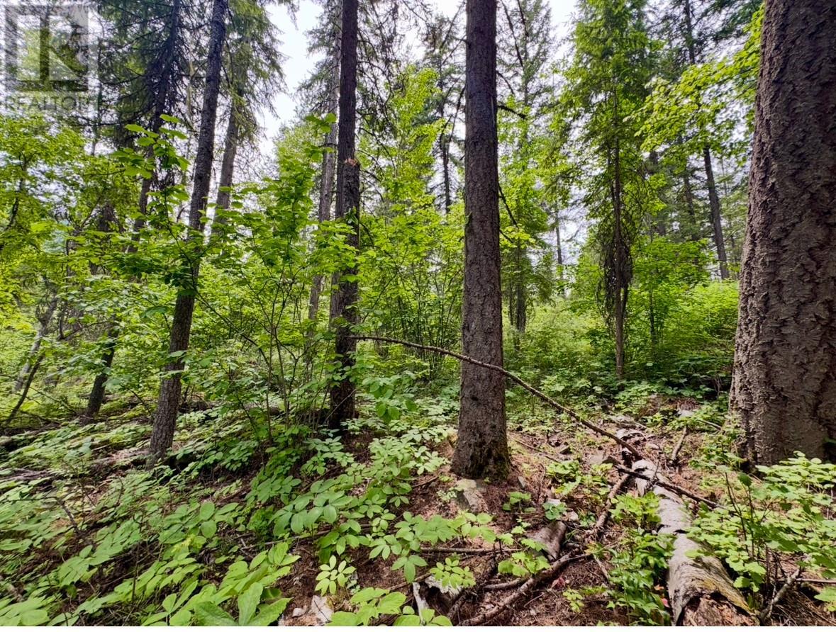 Corra Linn Road Lot# 41 & 41a, Bonnington, British Columbia  V0G 2G3 - Photo 10 - 10353002