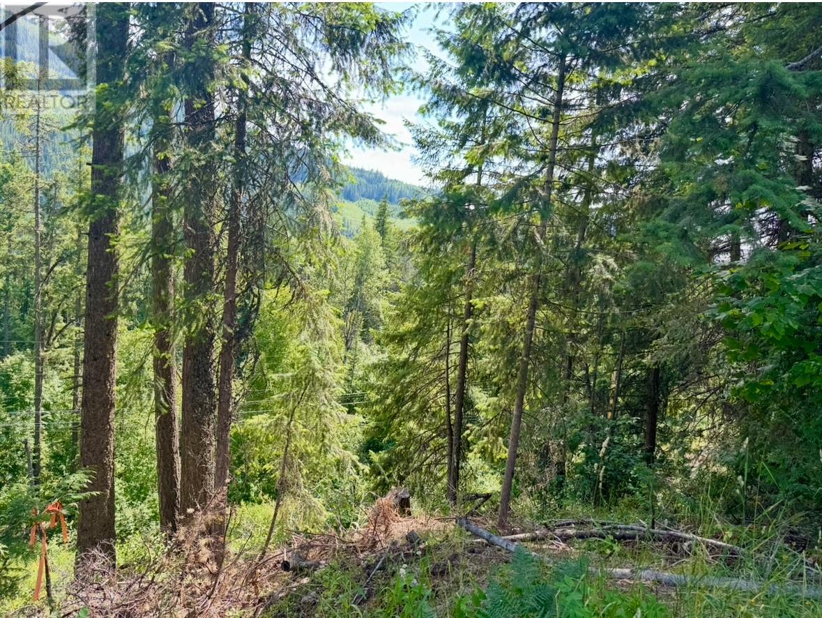 Corra Linn Road Lot# 41 & 41a, Bonnington, British Columbia  V0G 2G3 - Photo 11 - 10353002