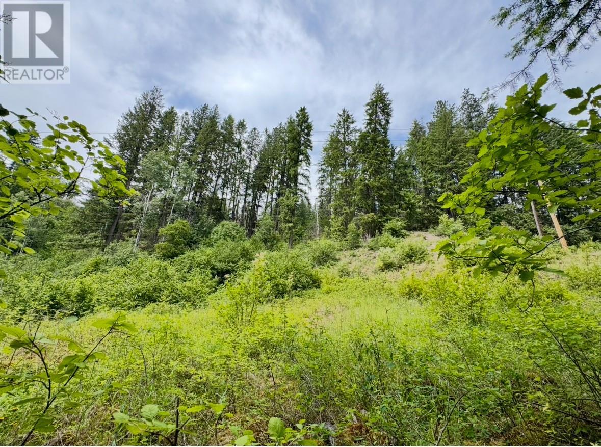 Corra Linn Road Lot# 41 & 41a, Bonnington, British Columbia  V0G 2G3 - Photo 12 - 10353002