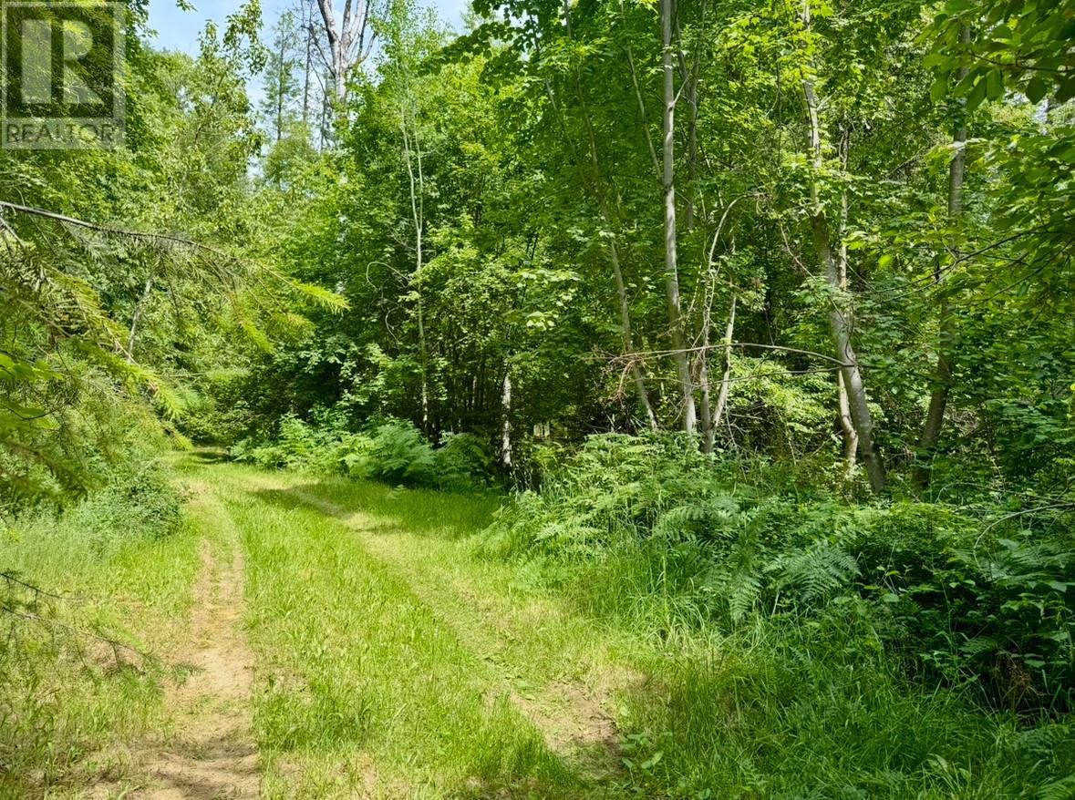 Corra Linn Road Lot# 41 & 41a, Bonnington, British Columbia  V0G 2G3 - Photo 13 - 10353002
