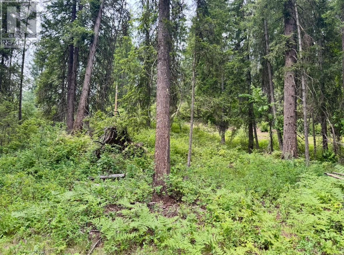 Corra Linn Road Lot# 41 & 41a, Bonnington, British Columbia  V0G 2G3 - Photo 14 - 10353002