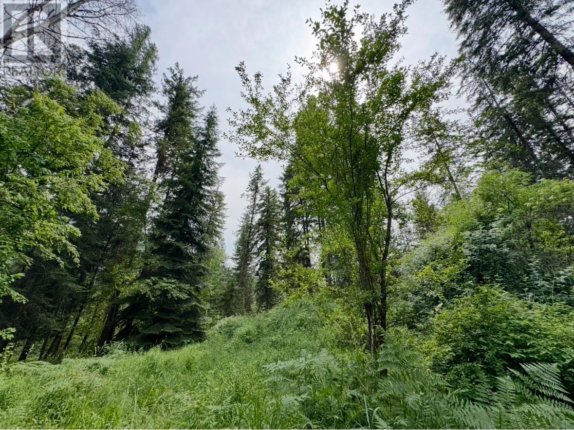 Corra Linn Road Lot# 41 & 41a, Bonnington, British Columbia  V0G 2G3 - Photo 15 - 10353002