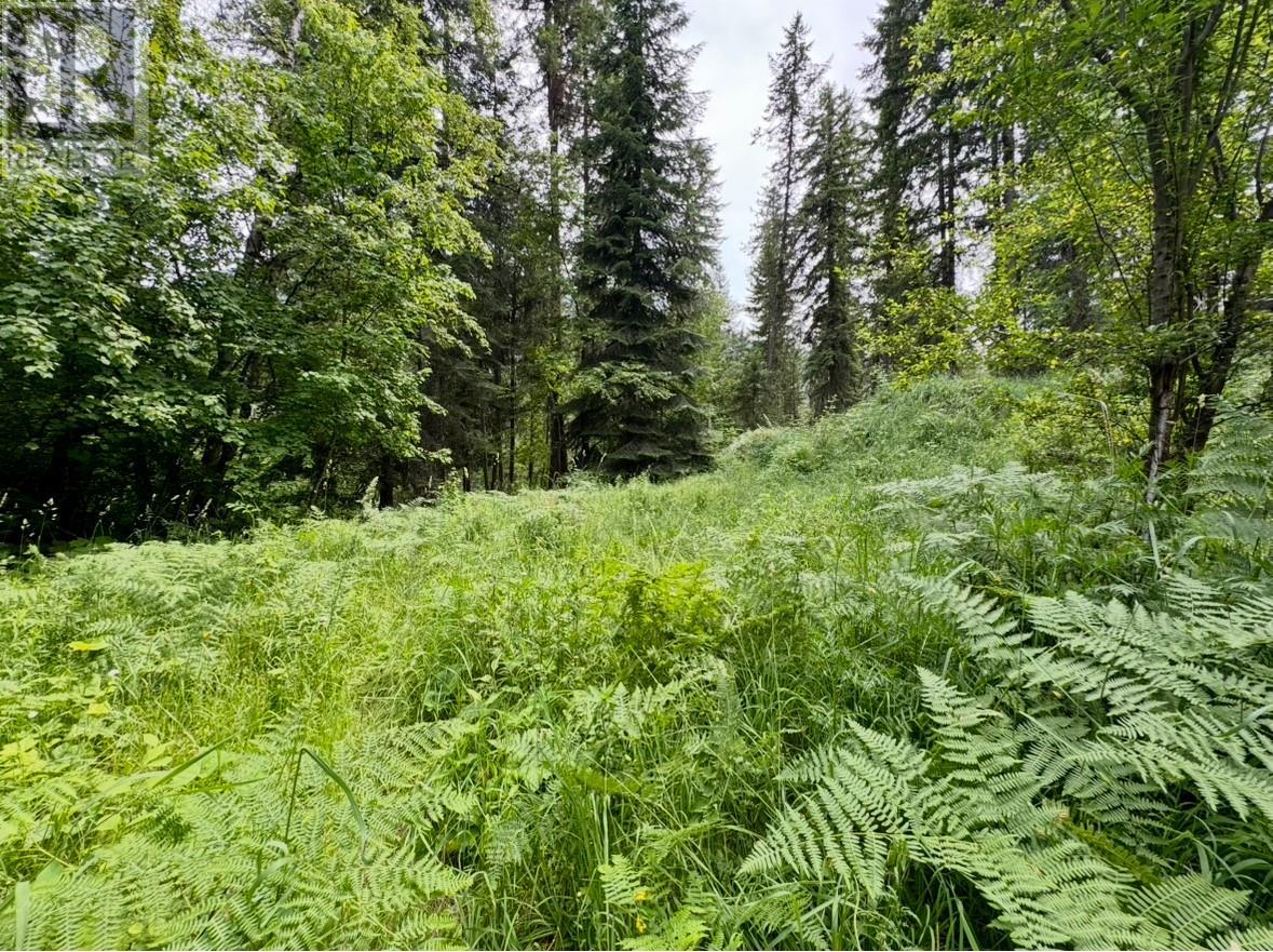 Corra Linn Road Lot# 41 & 41a, Bonnington, British Columbia  V0G 2G3 - Photo 16 - 10353002