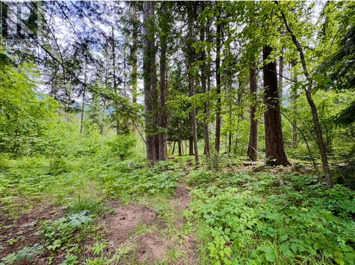 Corra Linn Road Lot# 41 & 41a, Bonnington, British Columbia  V0G 2G3 - Photo 17 - 10353002
