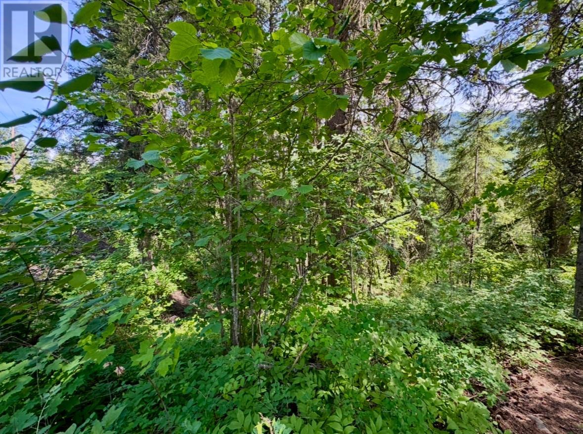 Corra Linn Road Lot# 41 & 41a, Bonnington, British Columbia  V0G 2G3 - Photo 21 - 10353002