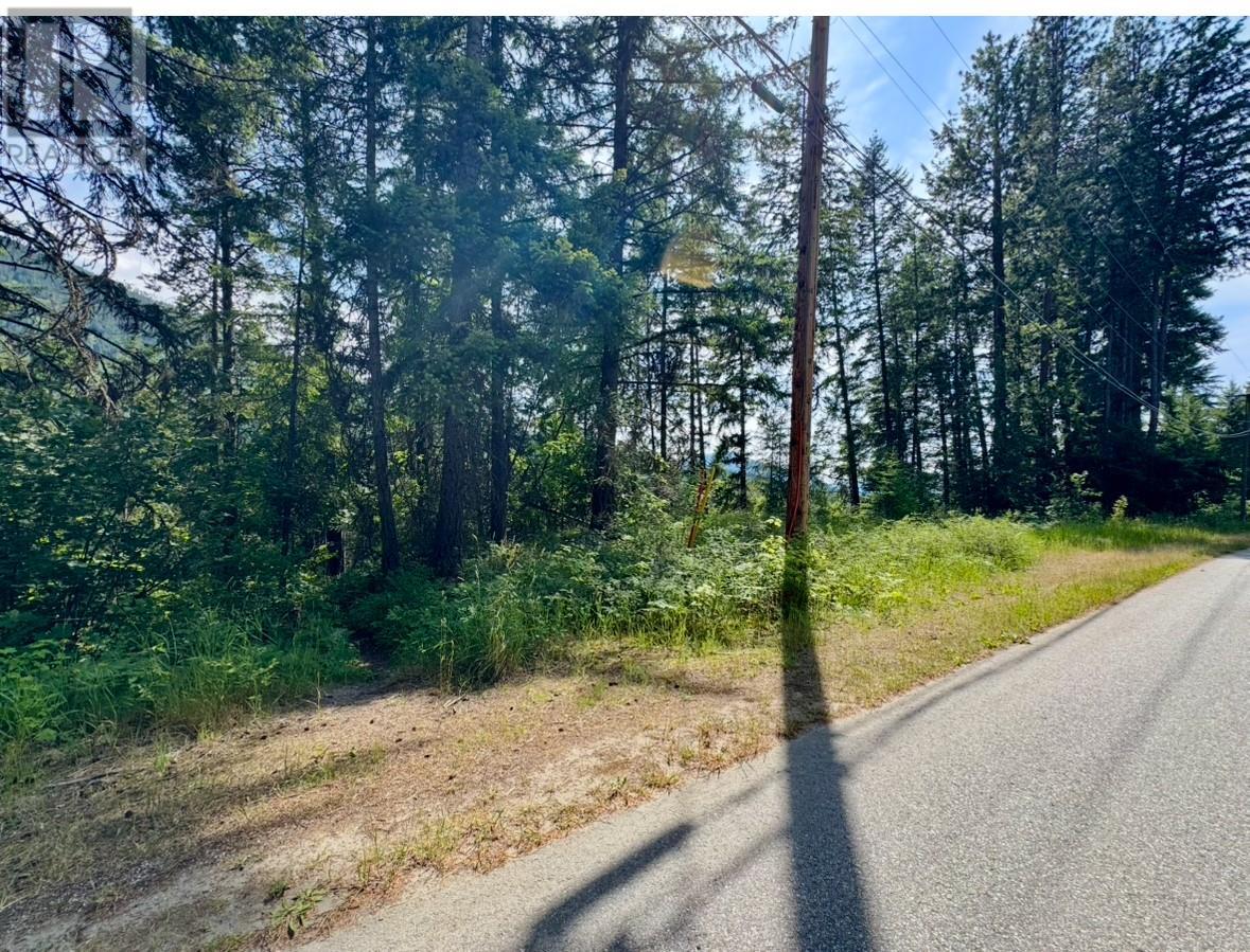 Corra Linn Road Lot# 41 & 41a, Bonnington, British Columbia  V0G 2G3 - Photo 22 - 10353002
