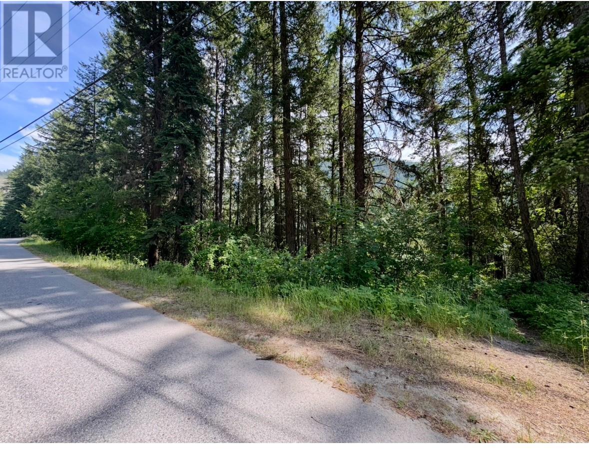 Corra Linn Road Lot# 41 & 41a, Bonnington, British Columbia  V0G 2G3 - Photo 23 - 10353002