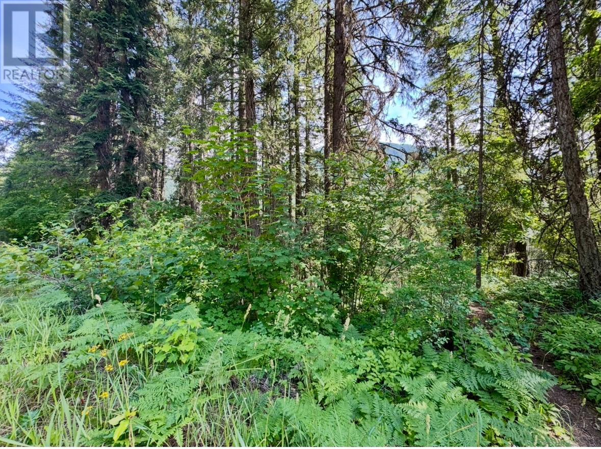 Corra Linn Road Lot# 41 & 41a, Bonnington, British Columbia  V0G 2G3 - Photo 24 - 10353002