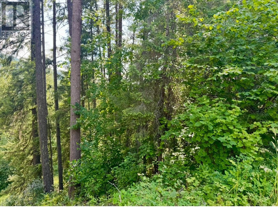 Corra Linn Road Lot# 41 & 41a, Bonnington, British Columbia  V0G 2G3 - Photo 25 - 10353002