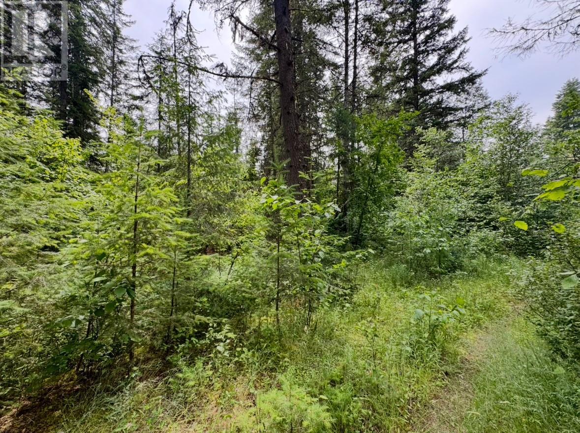 Corra Linn Road Lot# 41 & 41a, Bonnington, British Columbia  V0G 2G3 - Photo 26 - 10353002