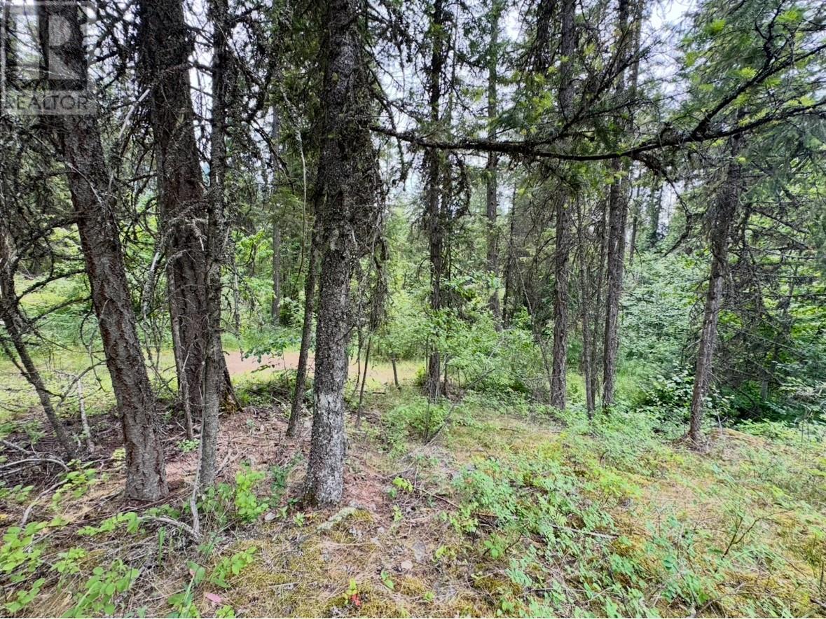 Corra Linn Road Lot# 41 & 41a, Bonnington, British Columbia  V0G 2G3 - Photo 27 - 10353002