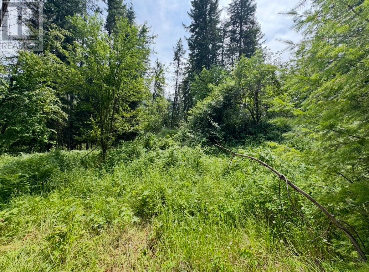 Corra Linn Road Lot# 41 & 41a, Bonnington, British Columbia  V0G 2G3 - Photo 30 - 10353002