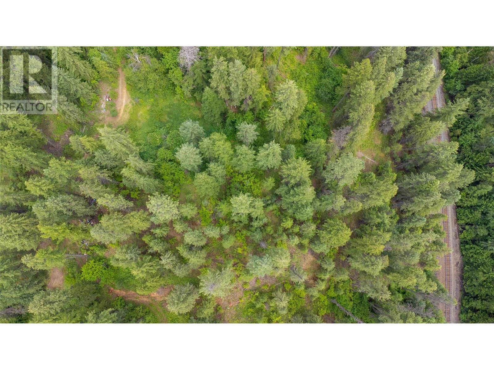 Corra Linn Road Lot# 41 & 41a, Bonnington, British Columbia  V0G 2G3 - Photo 4 - 10353002