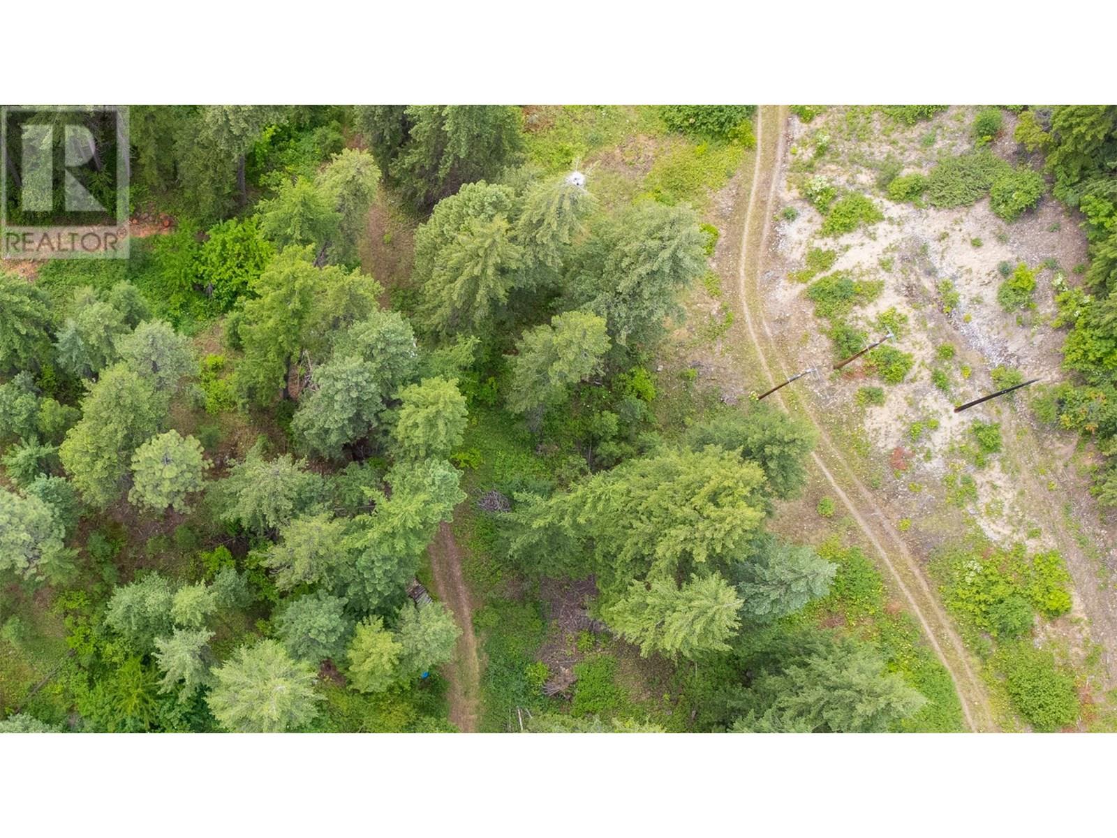 Corra Linn Road Lot# 41 & 41a, Bonnington, British Columbia  V0G 2G3 - Photo 5 - 10353002