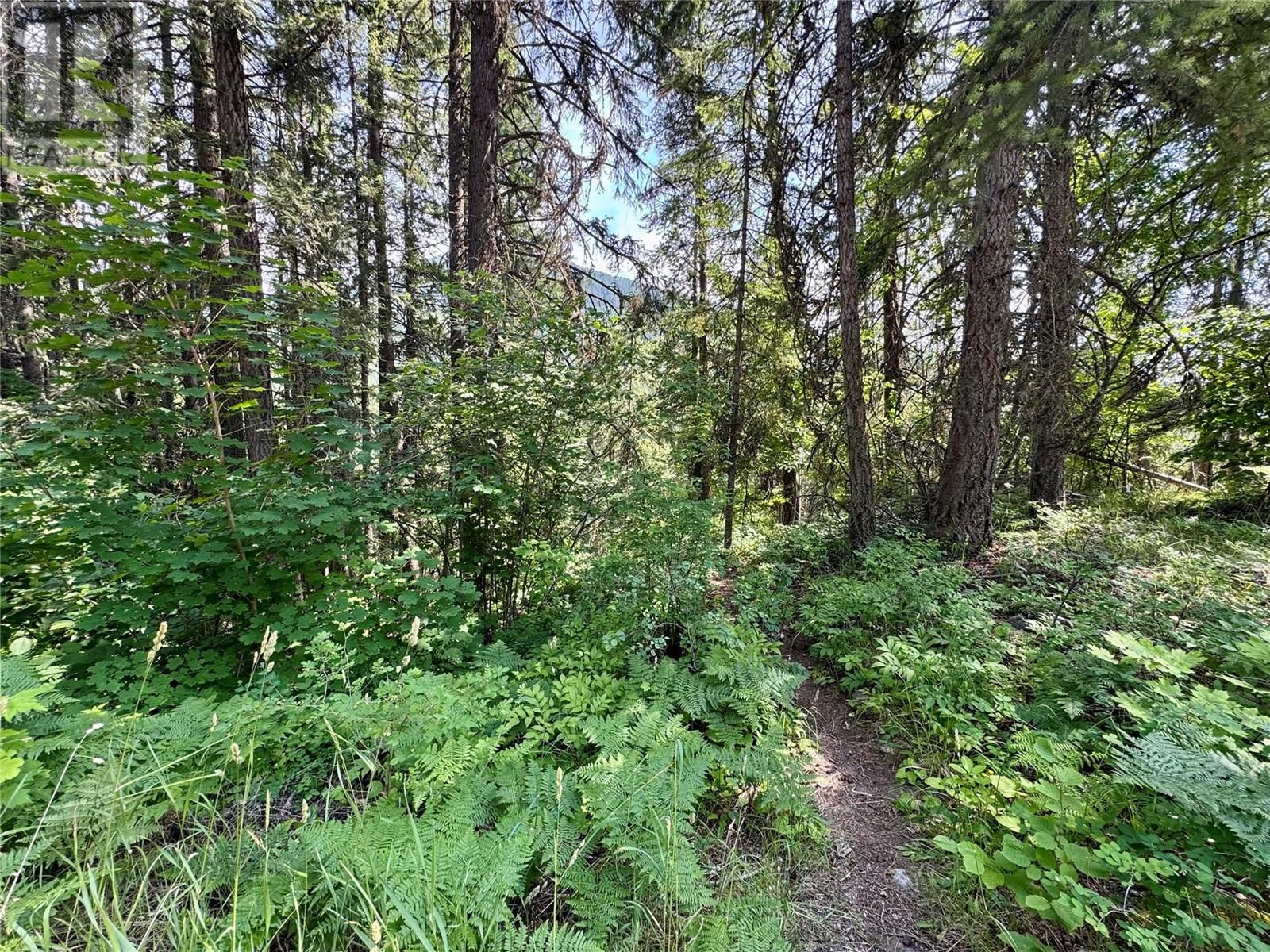 Corra Linn Road Lot# 41 & 41a, Bonnington, British Columbia  V0G 2G3 - Photo 7 - 10353002