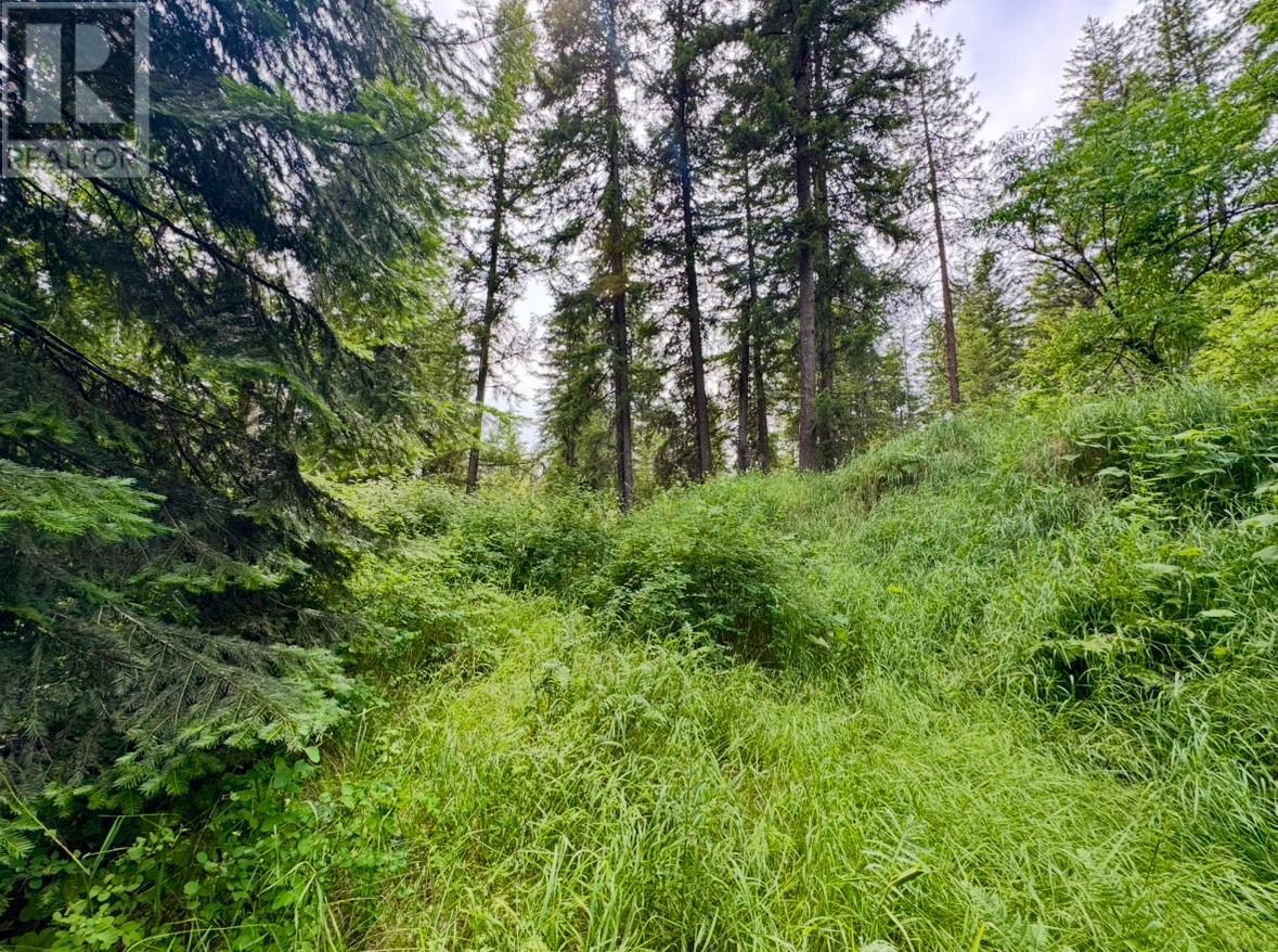 Corra Linn Road Lot# 41 & 41a, Bonnington, British Columbia  V0G 2G3 - Photo 8 - 10353002