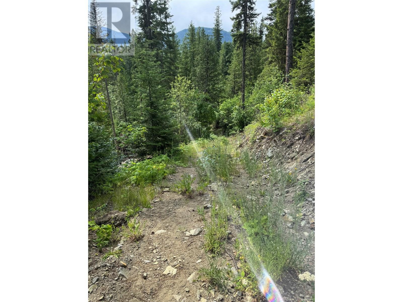 4018 Fumot Place, Bonnington, British Columbia  V0G 2G3 - Photo 11 - 10352786