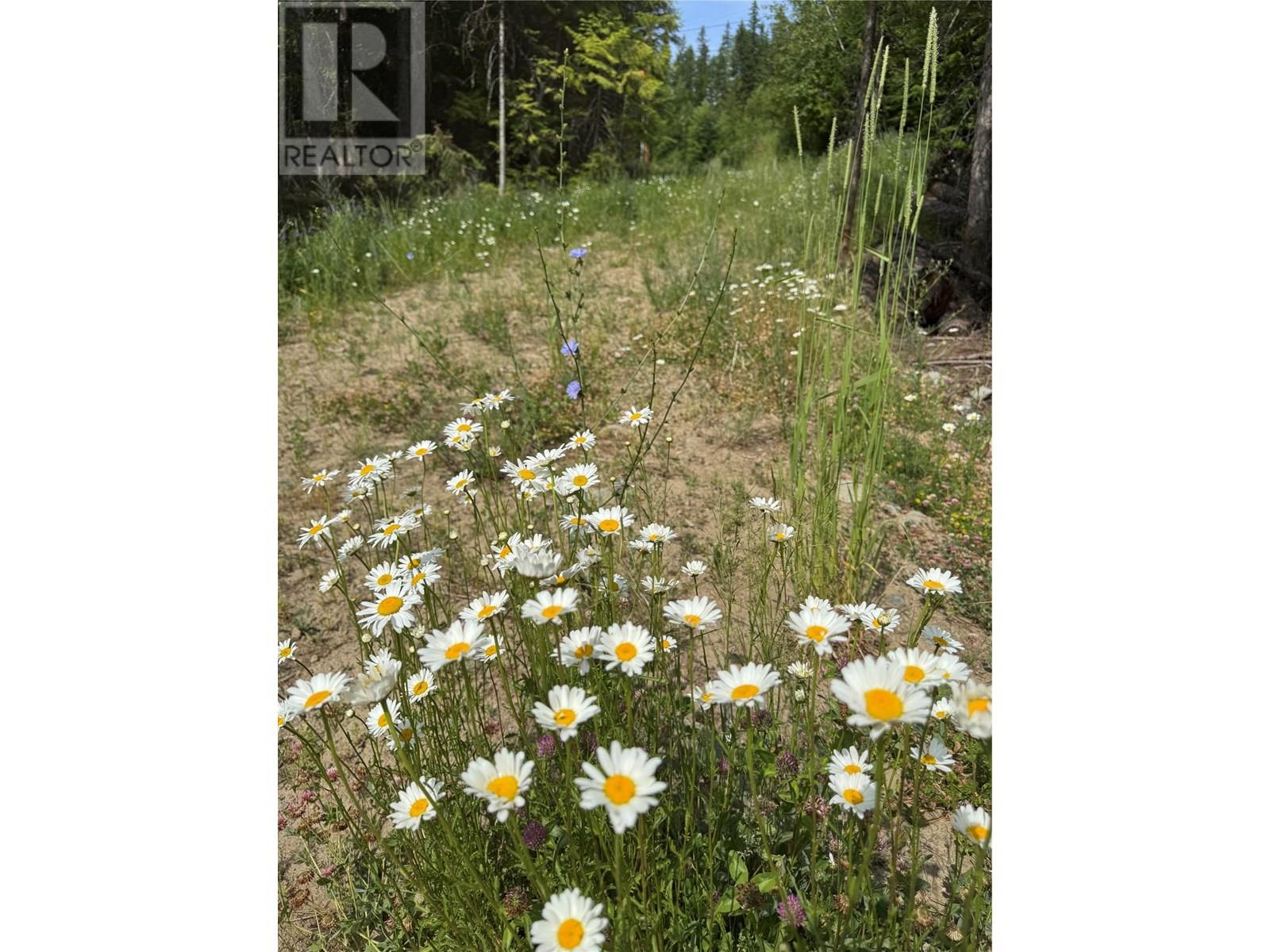 4018 Fumot Place, Bonnington, British Columbia  V0G 2G3 - Photo 15 - 10352786
