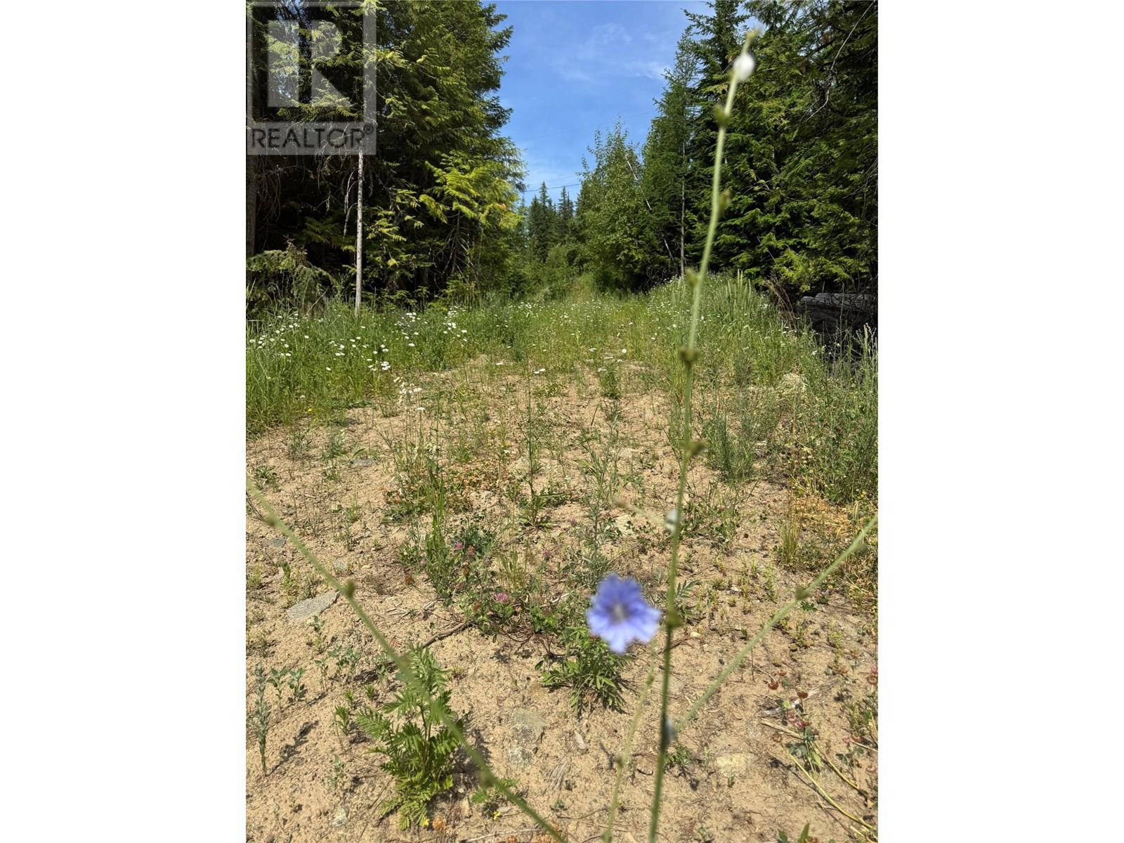 4018 Fumot Place, Bonnington, British Columbia  V0G 2G3 - Photo 16 - 10352786
