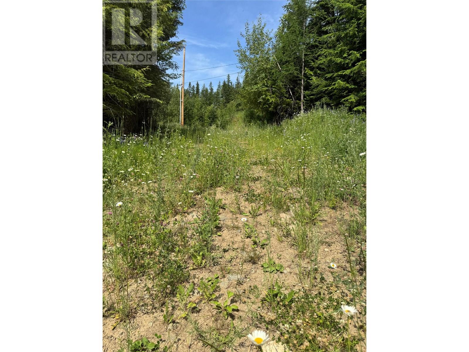 4018 Fumot Place, Bonnington, British Columbia  V0G 2G3 - Photo 17 - 10352786
