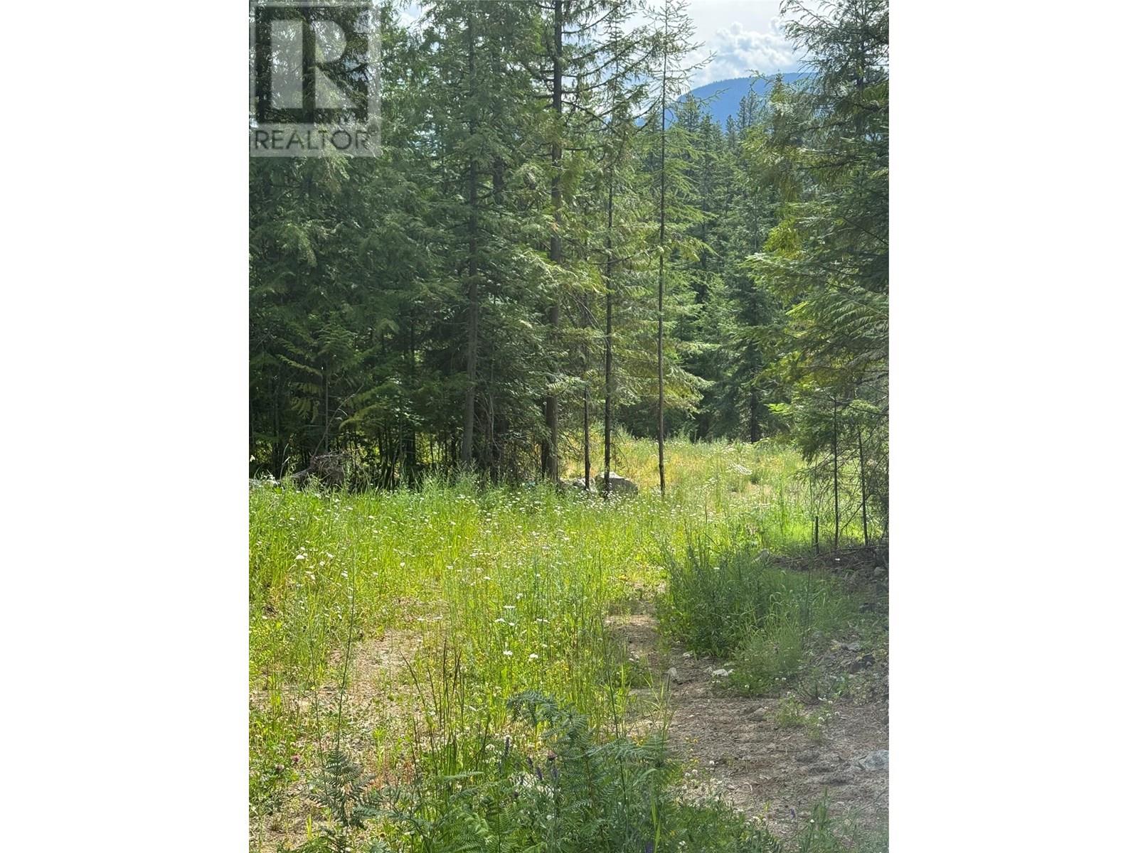 4018 Fumot Place, Bonnington, British Columbia  V0G 2G3 - Photo 4 - 10352786