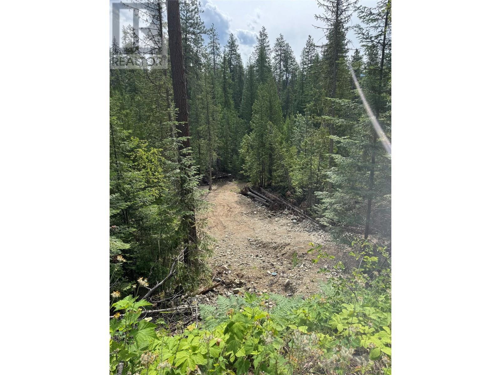 4018 Fumot Place, Bonnington, British Columbia  V0G 2G3 - Photo 5 - 10352786