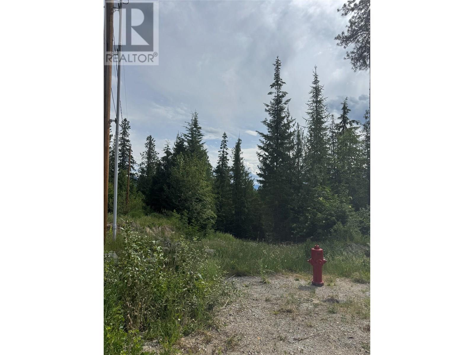 4018 Fumot Place, Bonnington, British Columbia  V0G 2G3 - Photo 6 - 10352786