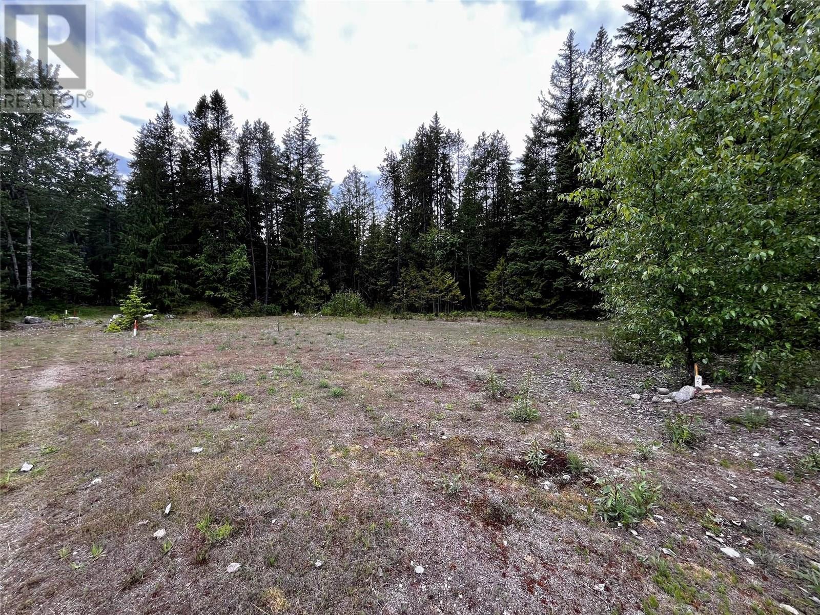 Lot A Mccormack Road, Burton, British Columbia  V0G 1R0 - Photo 33 - 10348053
