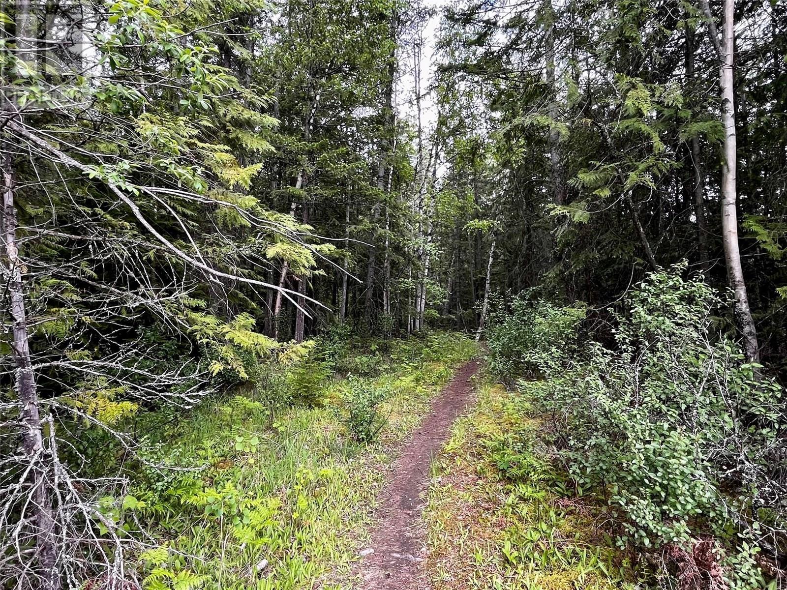 Lot A Mccormack Road, Burton, British Columbia  V0G 1R0 - Photo 38 - 10348053