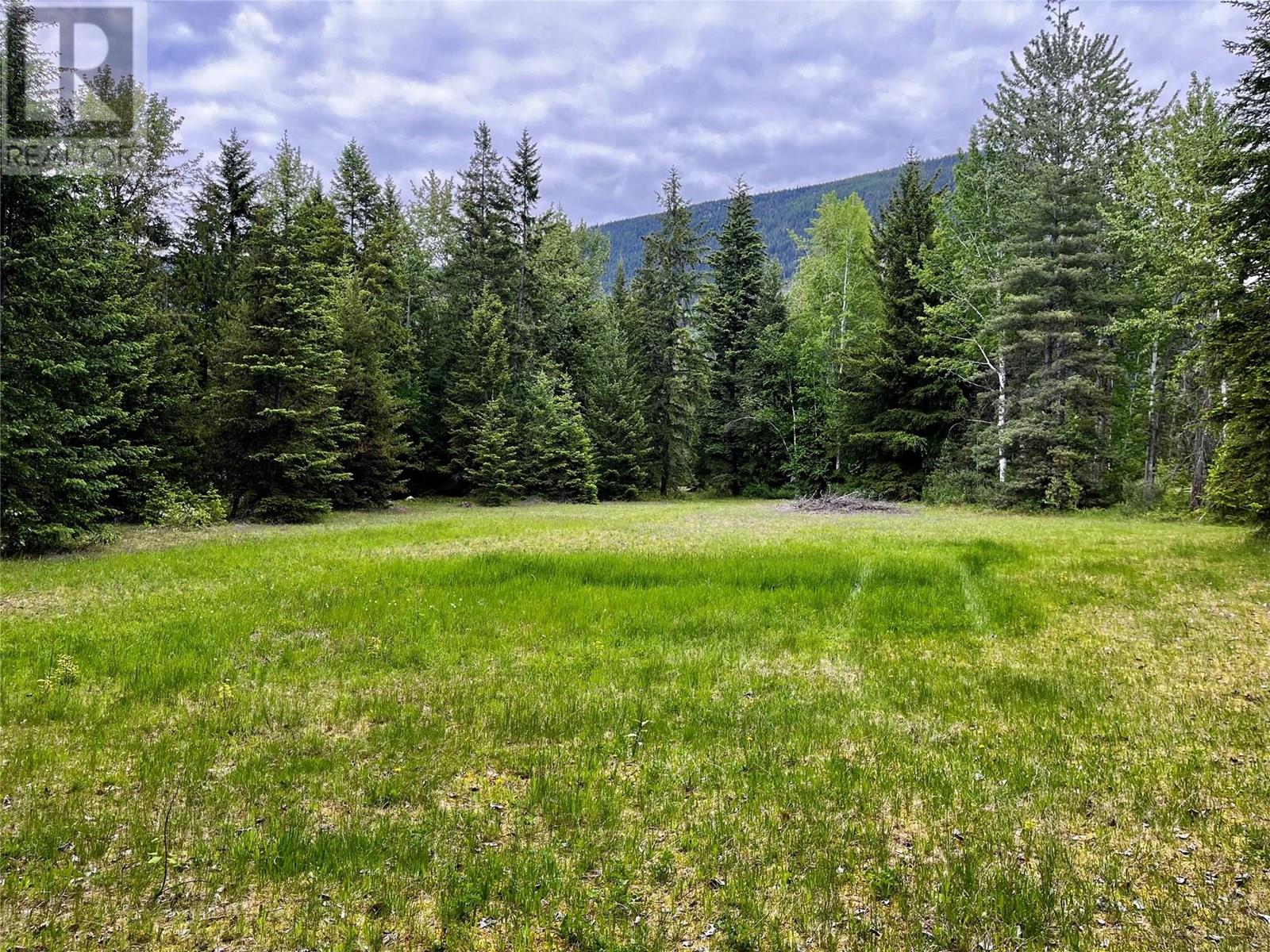 Lot A Mccormack Road, Burton, British Columbia  V0G 1R0 - Photo 45 - 10348053