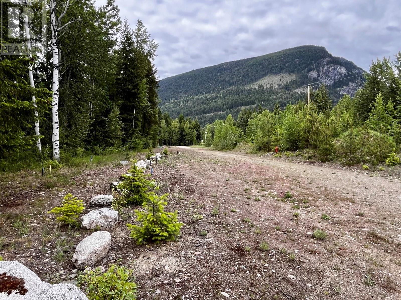 Lot A Mccormack Road, Burton, British Columbia  V0G 1R0 - Photo 64 - 10348053