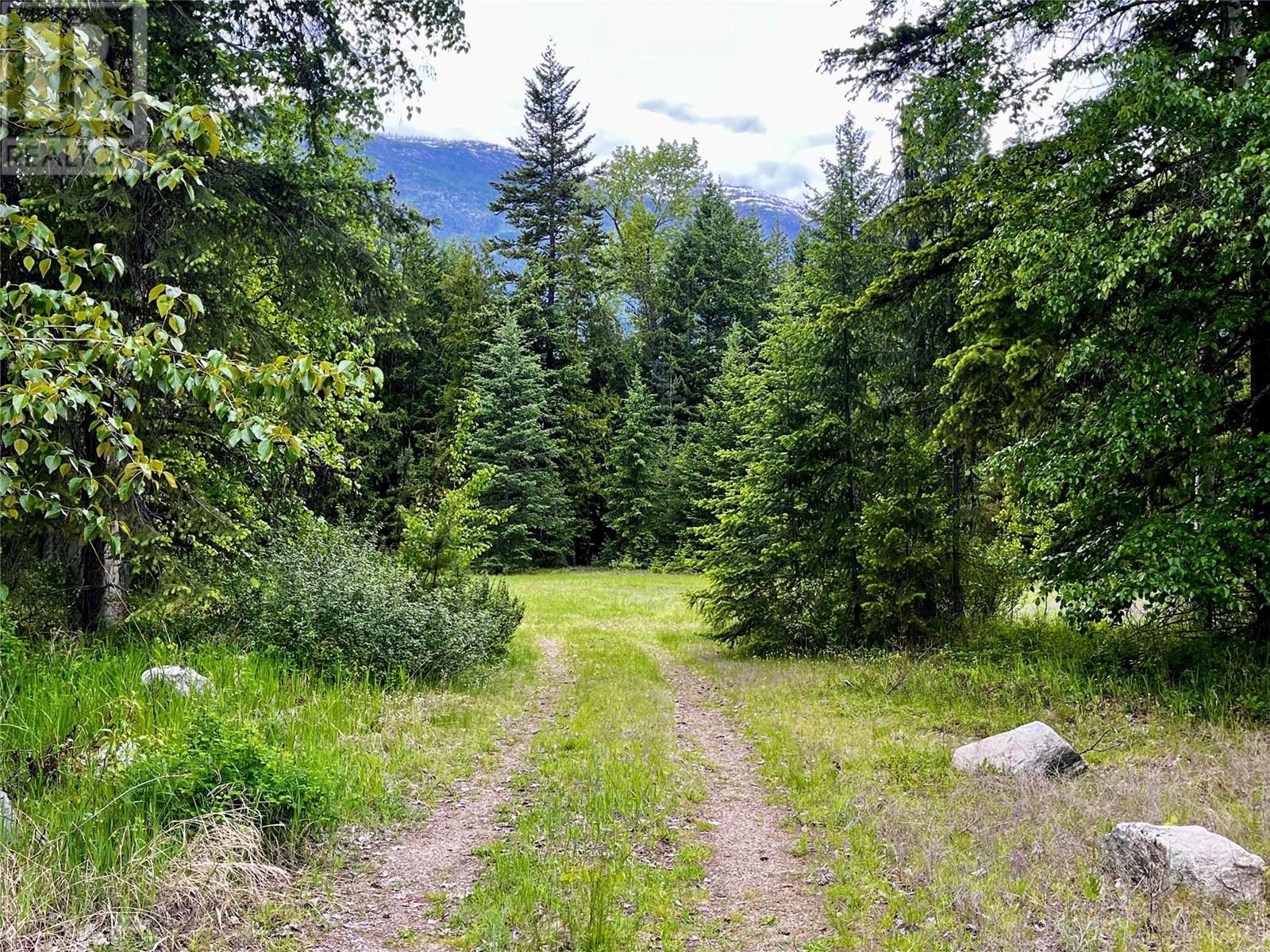 Lot A Mccormack Road, Burton, British Columbia  V0G 1R0 - Photo 65 - 10348053