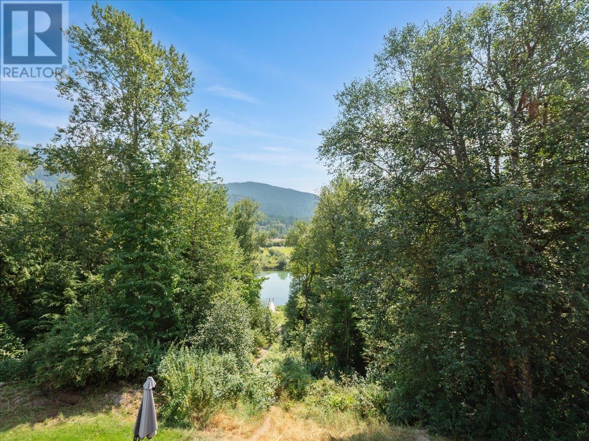 6172 Slocan River Road, Winlaw, British Columbia  V0G 2J0 - Photo 56 - 10352470