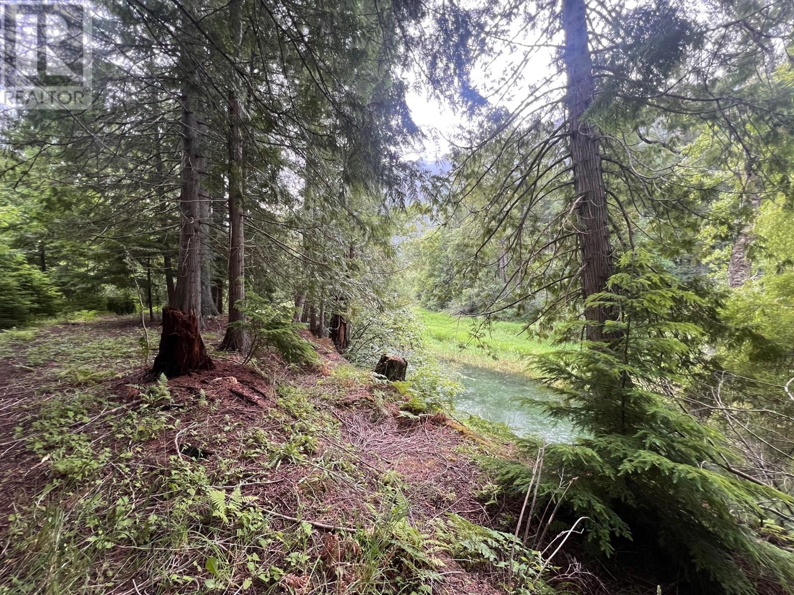 4421 Slocan River Road, Winlaw, British Columbia  V0G 2J0 - Photo 22 - 10353219