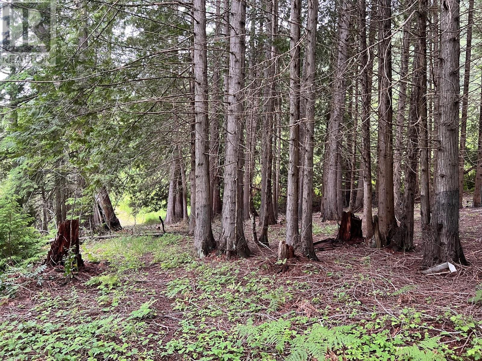 4421 Slocan River Road, Winlaw, British Columbia  V0G 2J0 - Photo 24 - 10353219