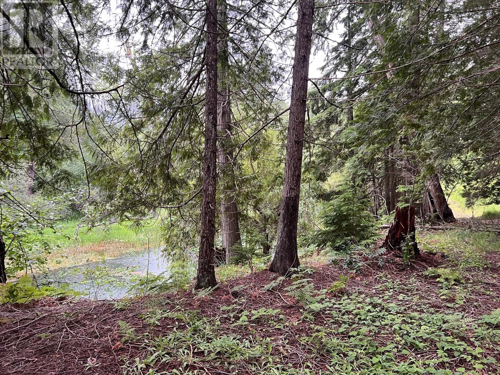 4421 Slocan River Road, Winlaw, British Columbia  V0G 2J0 - Photo 25 - 10353219
