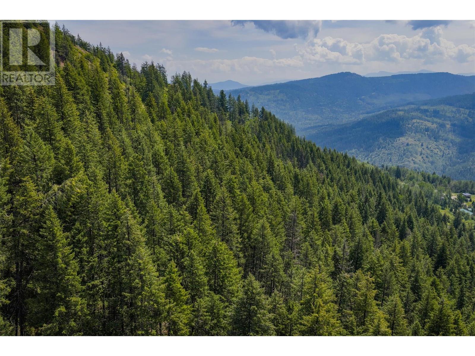 Parcel A Columbia-Kootenay Road, Rossland, British Columbia  V0G 1Y0 - Photo 13 - 10353778