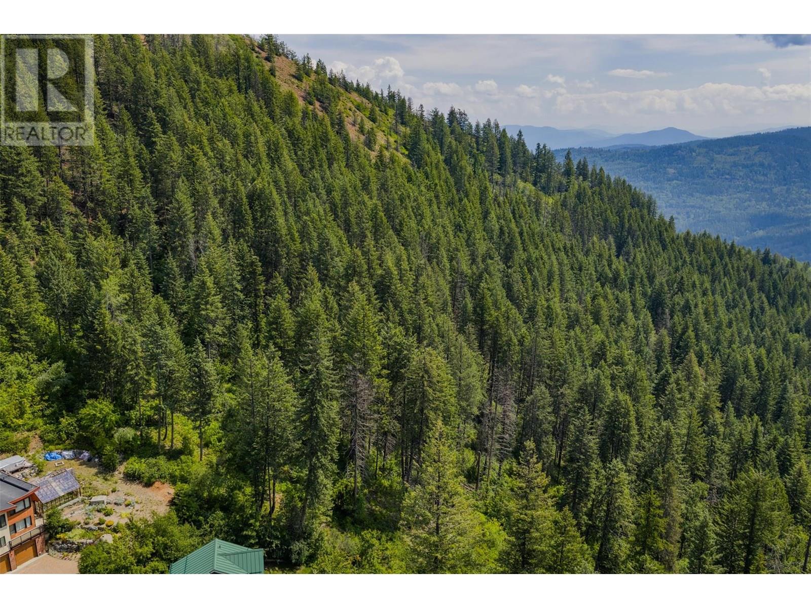 Parcel A Columbia-Kootenay Road, Rossland, British Columbia  V0G 1Y0 - Photo 14 - 10353778