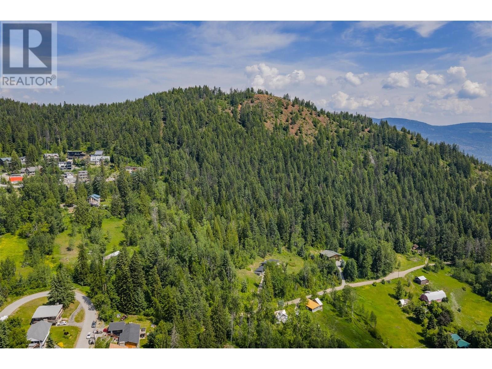 Parcel A Columbia-Kootenay Road, Rossland, British Columbia  V0G 1Y0 - Photo 16 - 10353778