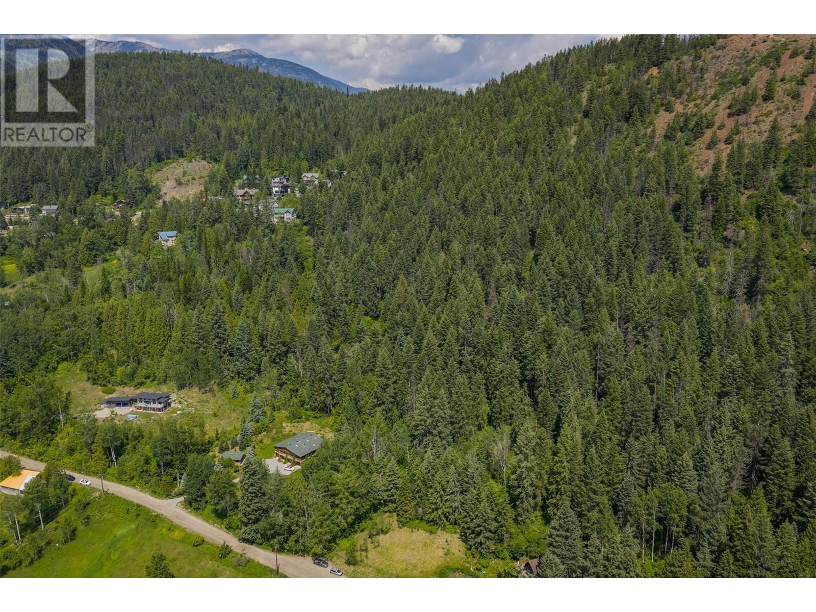 Parcel A Columbia-Kootenay Road, Rossland, British Columbia  V0G 1Y0 - Photo 4 - 10353778