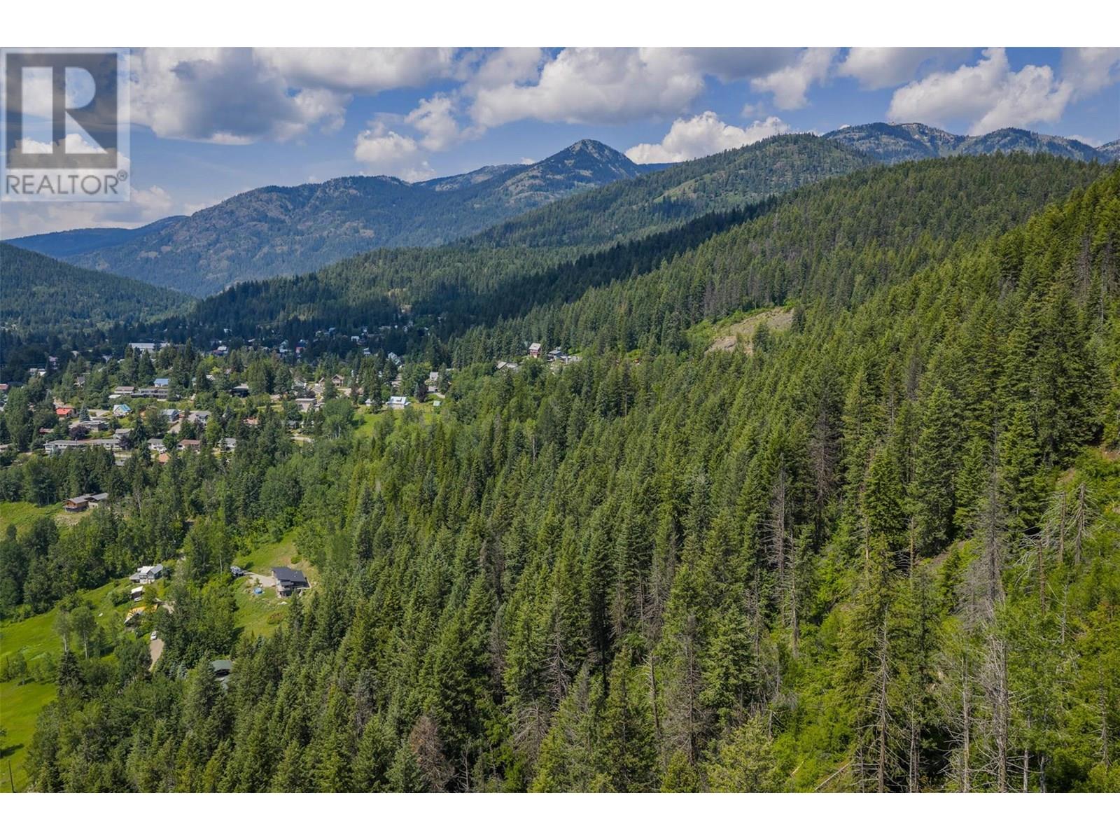 Parcel A Columbia-Kootenay Road, Rossland, British Columbia  V0G 1Y0 - Photo 6 - 10353778