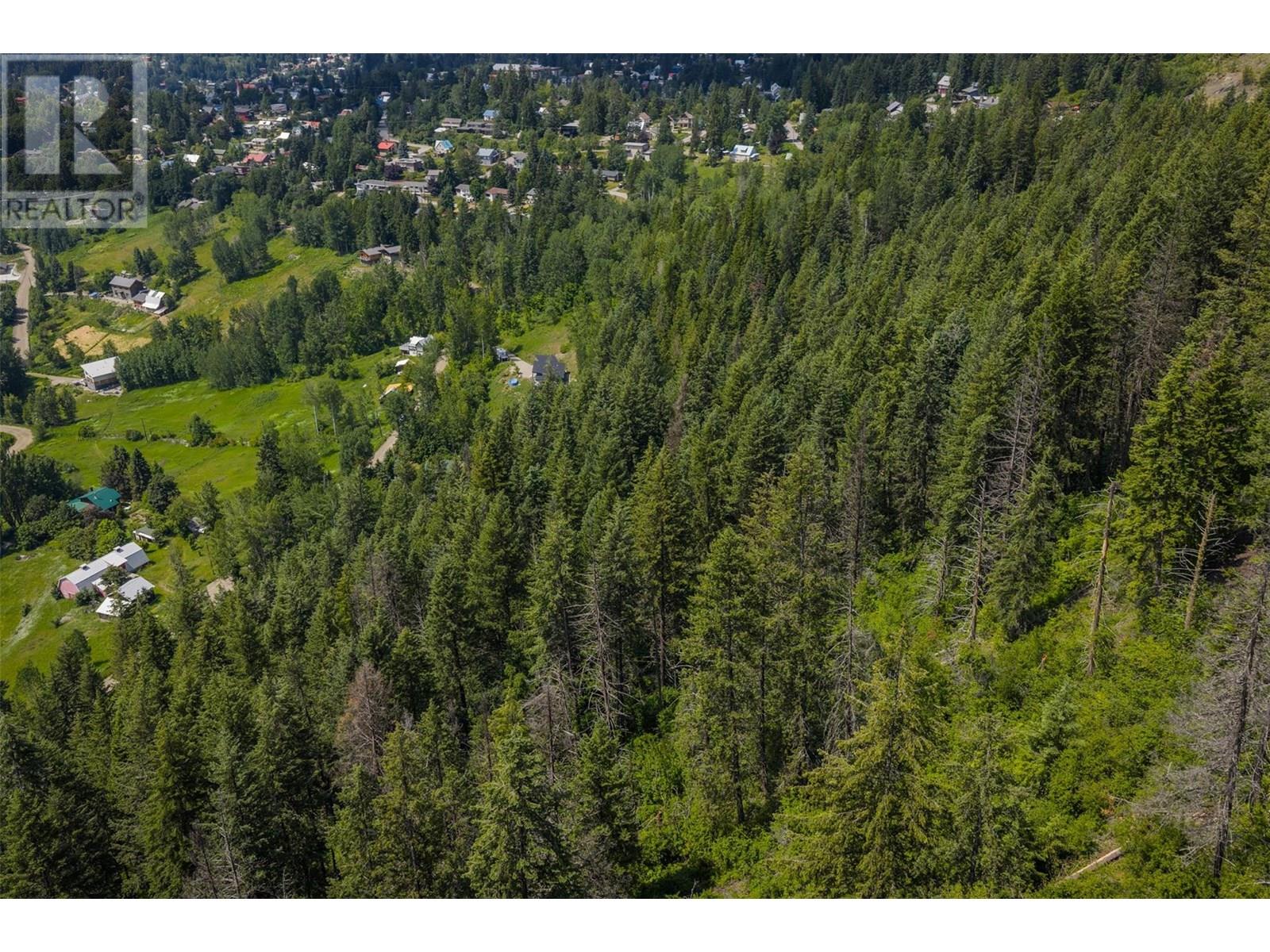 Parcel A Columbia-Kootenay Road, Rossland, British Columbia  V0G 1Y0 - Photo 7 - 10353778
